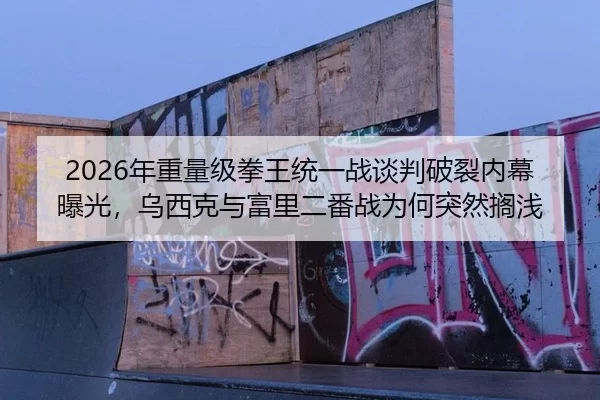 2026年重量级拳王统一战谈判破裂内幕曝光，乌西克与富里二番战为何突然搁浅